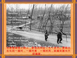 在家鄉這條小路上，爹娘共同走了七十多年。爹娘出生在同一個村，一個村東，一個村西，結婚前誰也不認識誰。  This is a trail in my hometown in China. Dad and mom had walked this trail together for 70+ years. They were born in the same village…one in the east, one in the west. They never knew each other before they got married. 