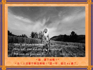 “ 娘，還下地嗎？” “ 去！人活著不幹活幹啥！”這一年，娘已 84 歲了。  “ Mom, still work in the field?” “ Why not?  Live and stay idle is not living!” This year, my mom was 84. 