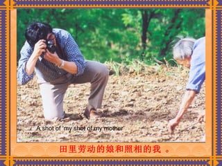 田里劳动的娘和照相的我  。 A shot of ‘my shot of my mother’ 