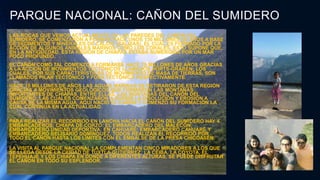 PARQUE NACIONAL: CAÑON DEL SUMIDERO
LAS ROCAS QUE VEMOS ACTUALMENTE EN LAS PAREDES DEL CAÑÓN DEL
SUMIDERO, SE COMENZARON A FORMAR HACE UNOS 136 MILLONES DE AÑOS A BASE
DE SEDIMENTOS Y MINERALES DE CALCIO (CALIZAS), EL CUAL ES FORMADO POR LA
ACCIÓN DE ALGUNOS ANIMALES MARINOS COMO LOS CORALES, ESTO SUPONE QUE,
EN LA ANTIGÜEDAD, ÉSTA REGIÓN DE CHIAPAS ESTABA SUMERGIDA POR UN MAR
POCO PROFUNDO.
EL CAÑÓN COMO TAL COMENZÓ A FORMARSE HACE 70 MILLONES DE AÑOS GRACIAS
A LA ACCIÓN DE MOVIMIENTOS TECTÓNICOS LLAMADOS HORTS-GRABEN; LOS
CUALES, POR SUS CARACTERÍSTICAS DE MOVIMIENTO DE MASA DE TIERRAS, SON
LLAMADOS PILAR TECTÓNICO Y FOSA TECTÓNICA RESPECTIVAMENTE.
HACE 15 MILLONES DE AÑOS LAS AGUAS MARINAS SE RETIRARON DE ESTA REGIÓN
GRACIAS A MOVIMIENTOS GEOLÓGICOS QUE FORMARON LAS MONTAÑAS
IMPORTANTES DE CHIAPAS, ENTRE ELLAS, LAS MONTAÑAS DEL CAÑÓN DEL
SUMIDERO, LAS CUALES COMENZARON A SUFRIR LA DISOLUCIÓN Y EROSIÓN A
CAUSA DE LA MISMA AGUA, AQUÍ NACIÓ EL CAÑÓN Y COMENZÓ SU FORMACIÓN LA
CUAL CONTINUA EN LA ACTUALIDAD.
PARA REALIZAR EL RECORRIDO EN LANCHA HACIA EL CAÑÓN DEL SUMIDERO HAY 4
EMBARCADEROS: CHIAPA DE CORZO: EL EMBARCADERO DEL MALECÓN,
EMBARCADERO UNIDAD DEPORTIVA; EN CAHUARÉ: EMBARCADERO CAHUARÉ Y
EMBARCADERO BELISARIO DOMÍNGUEZ, TODOS REALIZAN EL RECORRIDO POR
TODO EL CAÑÓN HASTA LOS LÍMITES CON EL EMBALSE DE LA PRESA CHICOASÉN.
LA VISITA AL PARQUE NACIONAL LA COMPLEMENTAN CINCO MIRADORES A LOS QUE
SE LLEGA DESDE LA CIUDAD DE TUXTLA GUTIERREZ: LA CEIBA, LA COYOTA, EL
TEPEHUAJE Y LOS CHIAPA EN DONDE A DIFERENTES ALTURAS, SE PUEDE DISFRUTAR
EL CAÑON EN TODO SU ESPLENDOR.
 