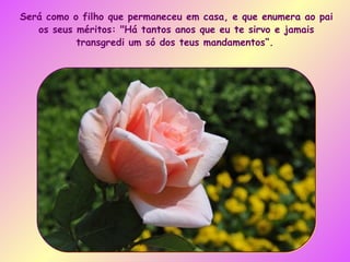 Será como o filho que permaneceu em casa, e que enumera ao pai os seus méritos: "Há tantos anos que eu te sirvo e jamais transgredi um só dos teus mandamentos“.   