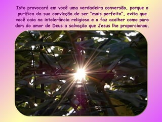 Isto provocará em você uma verdadeira conversão, porque o purifica da sua convicção de ser "mais perfeito", evita que você caia na intolerância religiosa e o faz acolher como puro dom do amor de Deus a salvação que Jesus lhe proporcionou. 
