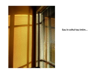 Sau in coltul tau intim…