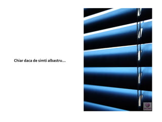 Chiar daca de simti albastru…