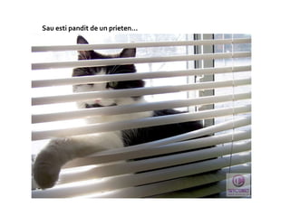 Sau esti pandit de un prieten…