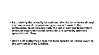 SIGNS AND SYMPTOMS Chiari I Malformation
• By stretching the centrally located ventral white commissure through
a syrinx, pain and temperature signals cannot cross to the
contralateral spinothalamic tract. The loss of pain and temperature
sensation occurs only at the levels that are served by stretched
spinothalamic fibers.
• Down-beat nystagmus is reported to be specific for lesions involving
the cervicomedullary junction.
 