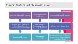 Clinical features of chiasmal lesion
 