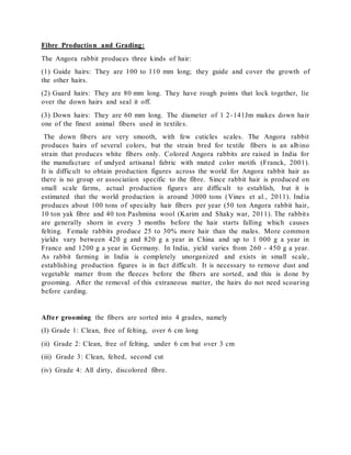 An over view on Angora THE ANIMAL FIBER | DOCX