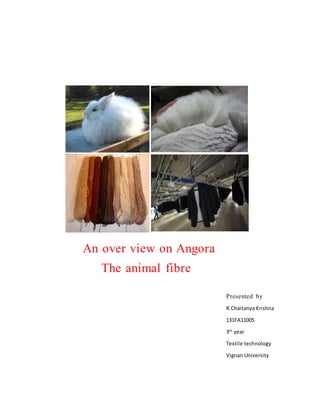 An over view on Angora
The animal fibre
Presented by
R.Chaitanya Krishna
131FA11005
3rd
year
Textile technology
Vignan University
 