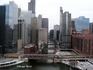 Chicago  River 