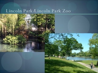 Lincoln Park/Lincoln Park Zoo 