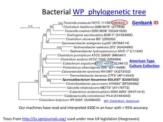 Bacterial WP_phylogenetic tree 
Genbank ID 
American Type 
Culture Collection 
WP: Clostridium_butyricum 
Our machines have read and interpreted 4300 in an hour with > 95% accuracy 
Trees From http://ijs.sgmjournals.org/ used under new UK legislation (Hargreaves) 
 