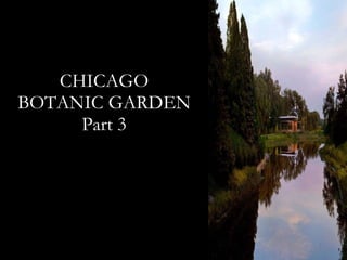 CHICAGO BOTANIC GARDEN Part 3 