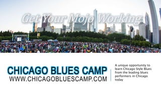CHICAGO BLUES CAMP
WWW.CHICAGOBLUESCAMP.COM
A unique opportunity to
learn Chicago Style Blues
from the leading blues
performers in Chicago
today
Get Your Mojo Working
 
