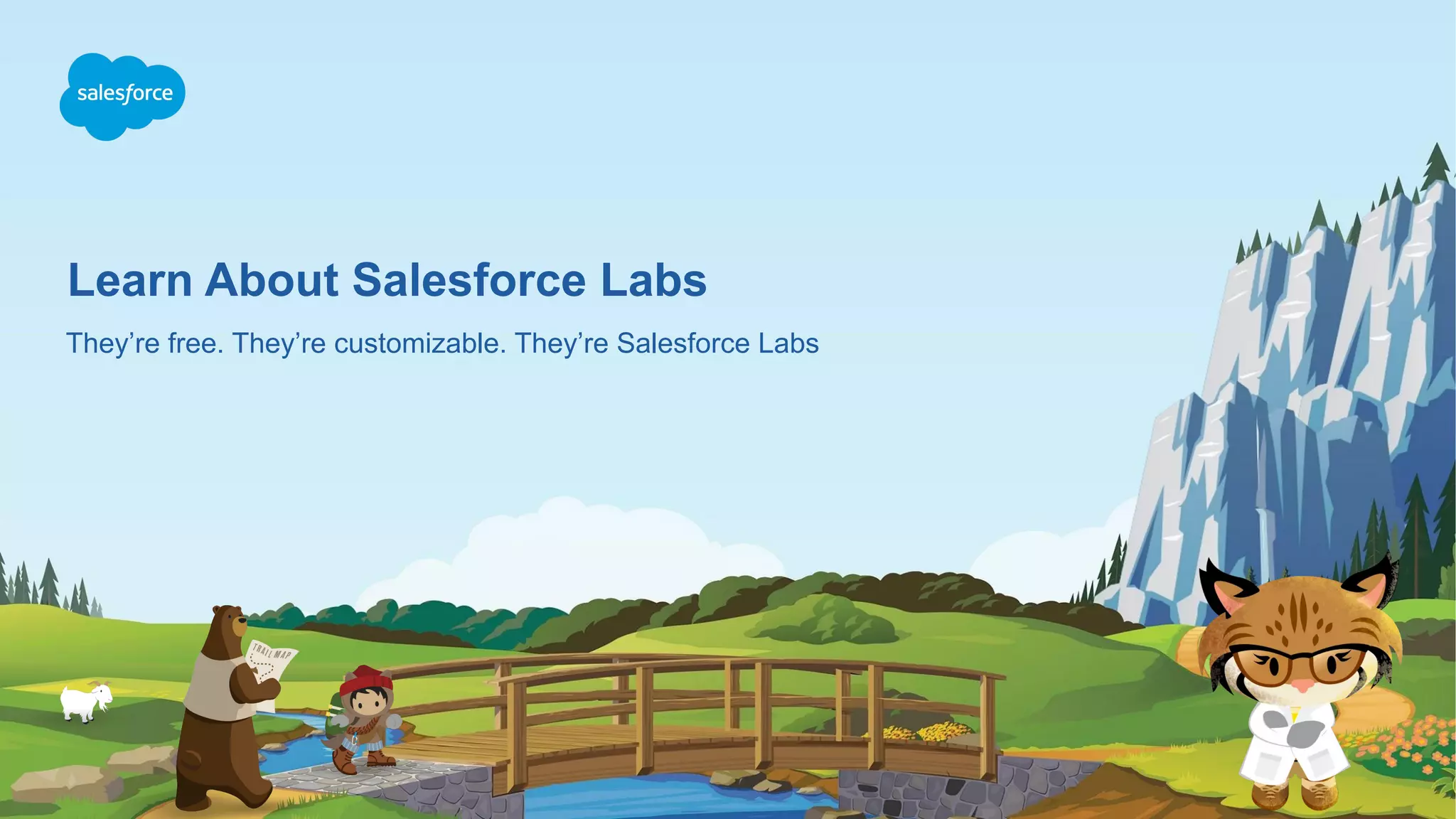 Learn About Salesforce Labs
They’re free. They’re customizable. They’re Salesforce Labs
 