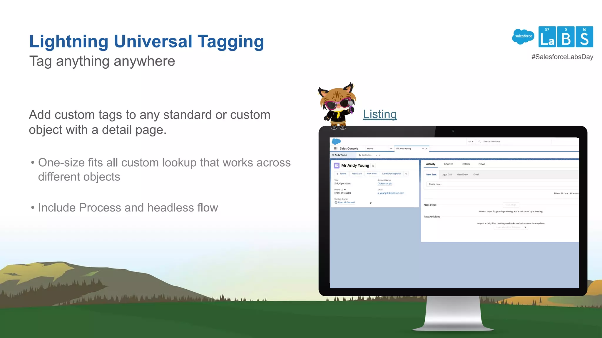 Lightning Universal Tagging
Tag anything anywhere
ListingAdd custom tags to any standard or custom
object with a detail page.
• One-size fits all custom lookup that works across
different objects
• Include Process and headless flow
#SalesforceLabsDay
 