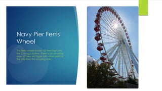 Navy Pier Ferris
Wheel
This ferris wheel stands 150 feet high into
the Chicago Skyline. There is an amazing
view of Lake Michigan and other parts of
the city from this amazing ride.
 