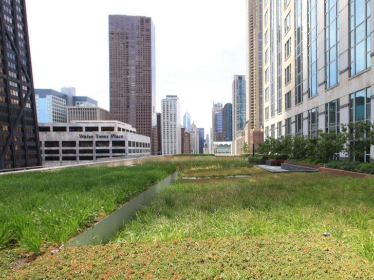 Chicago Green Roof Projects