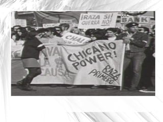 components The Chicano youth movement 