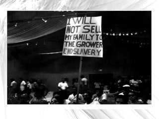 An organization called MAYO (Mexican American Youth organization) also came about during this time. 