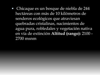  Chicaque es un bosque de niebla de 244 hectáreas con más de 10 kilómetros de senderos ecológicos que atraviesan quebradas cristalinas, nacimientos de agua pura, robledales y vegetación nativa en vía de extinción Altitud (rango): 2100 - 2700 msnm