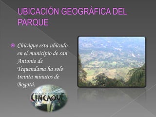 UBICACIÓN GEOGRÁFICA DEL PARQUEChicàque esta ubicado en el municipio de san Antonio de Tequendama ha solo treinta minutos de Bogotá.