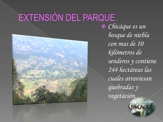 EXTENSIÓN DEL PARQUE.Chicàque es un bosque de niebla con mas de 10 kilómetros de senderos y contiene 244 hectáreas las cuales atraviesan quebradas y vegetación. 