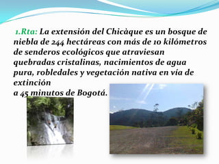 1.Rta: La extensión del Chicàque es un bosque de niebla de 244 hectáreas con más de 10 kilómetros de senderos ecológicos que atraviesan quebradas cristalinas, nacimientos de agua pura, robledales y vegetación nativa en vía de extinción a 45 minutos de Bogotá.