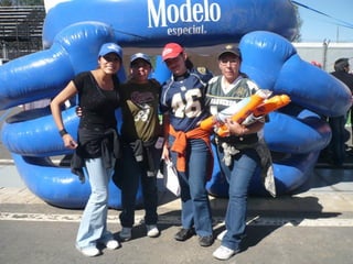 Chicas Nfl