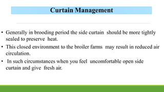 Chick brooding ch3 | PDF