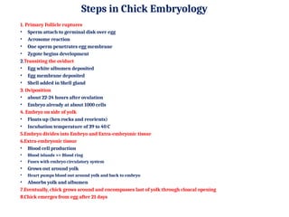1. Primary Follicle ruptures
• Sperm attach to germinal disk over egg
• Acrosome reaction
• One sperm penetrates egg membrane
• Zygote begins development
2.Transiting the oviduct
• Egg white albumen deposited
• Egg membrane deposited
• Shell added in Shell gland
3. Oviposition
• about 22-24 hours after ovulation
• Embryo already at about 1000 cells
4. Embryo on side of yolk
• Floats up (hen rocks and reorients)
• Incubation temperature of 39 to 40 C
5.Embryo divides into Embryo and Extra-embryonic tissue
6.Extra-embryonic tissue
• Blood cell production
• Blood islands >> Blood ring
• Fuses with embryo circulatory system
• Grows out around yolk
• Heart pumps blood out around yolk and back to embryo
• Absorbs yolk and albumen
7.Eventually, chick grows around and encompasses last of yolk through cloacal opening
8.Chick emerges from egg after 21 days
Steps in Chick Embryology
 