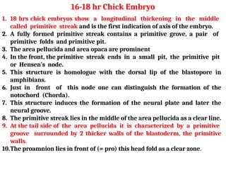 1. 18 hrs chick embryos show a longitudinal thickening in the middle
called primitive streak and is the first indication of axis of the embryo.
2. A fully formed primitive streak contains a primitive grove, a pair of
primitive folds and primitive pit.
3. The area pellucida and area opaca are prominent
4. In the front, the primitive streak ends in a small pit, the primitive pit
or Hensen's node.
5. This structure is homologue with the dorsal lip of the blastopore in
amphibians.
6. Just in front of this node one can distinguish the formation of the
notochord (Chorda).
7. This structure induces the formation of the neural plate and later the
neural groove.
8. The primitive streak lies in the middle of the area pellucida as a clear line.
9. At the tail side of the area pellucida it is characterized by a primitive
groove surrounded by 2 thicker walls of the blastoderm, the primitive
walls.
10.The proamnion lies in front of (= pro) this head fold as a clear zone.
16-18 hr Chick Embryo
 