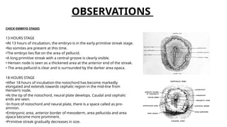 Chick embryo project by Abhijeet (23izoo02).pptx