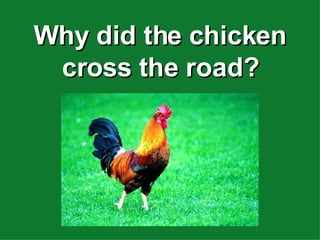 Why did the chicken cross the road? 