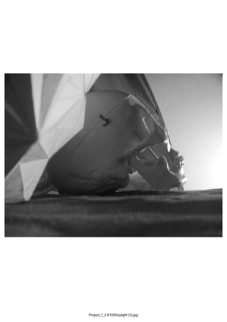 Project_f_2.8100Daylight (5).jpg
 