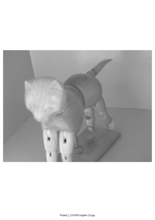 Project_f_2.8100Tungsten (3).jpg
 