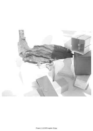 Project_f_2.8100Tungsten (5).jpg
 