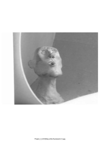Project_f_4.8100Day white fluorescent (1).jpg
 