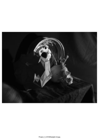 Project_f_4.8100Daylight (3).jpg
 