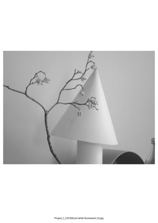Project_f_2.8100Cool white fluorescent (3).jpg
 