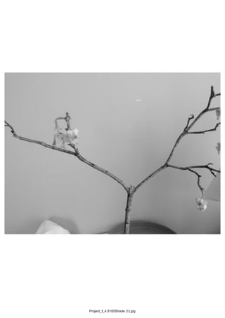 Project_f_4.8100Shade (1).jpg
 
