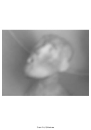 Project_f_4.8100Shade.jpg
 