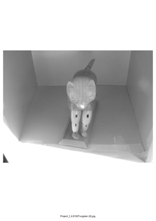 Project_f_4.8100Tungsten (8).jpg
 