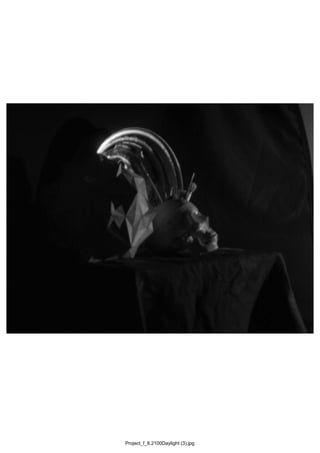 Project_f_8.2100Daylight (3).jpg
 