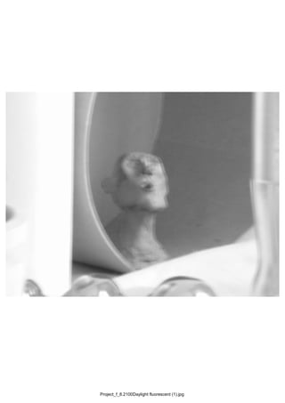 Project_f_8.2100Daylight fluorescent (1).jpg
 