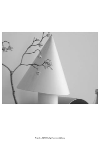 Project_f_8.2100Daylight fluorescent (3).jpg
 