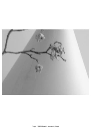 Project_f_8.2100Daylight fluorescent (4).jpg
 