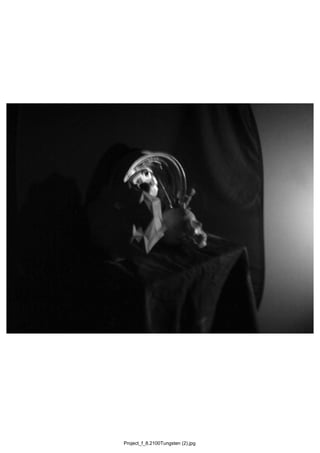 Project_f_8.2100Tungsten (2).jpg
 