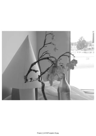 Project_f_8.2100Tungsten (5).jpg
 