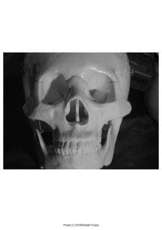 Project_f_2.8100Daylight (2).jpg
 